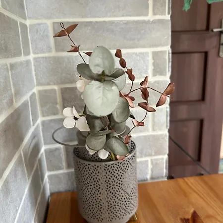 Zaciszna Przystan Debina 別荘