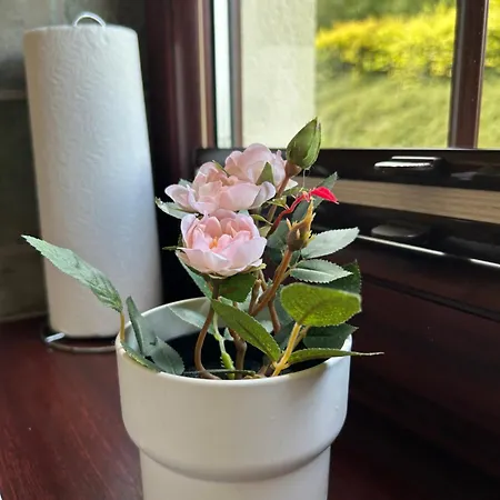 Zaciszna Przystan Debina 別荘 Debina (Ustka)