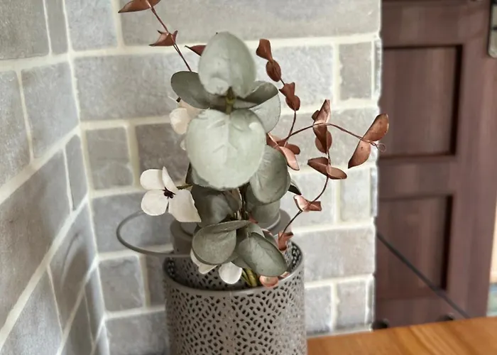 Zaciszna Przystan Debina Дом отдыха