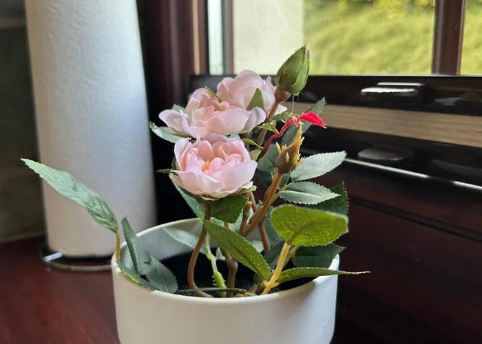 Zaciszna Przystan Debina Дом отдыха Debina (Ustka)